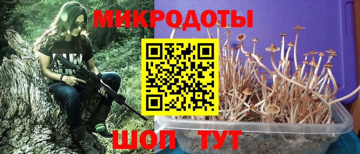 Галлюциногенные грибы мицелий Симферополь